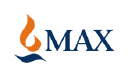 Logo of MAX INDIA LIMITED