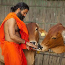 Logo of PATANJALI AYURVED LIMITED